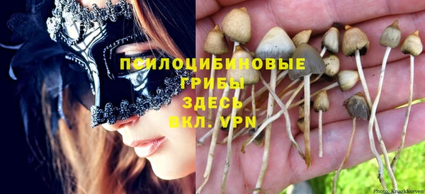 не бодяженный Каменногорск