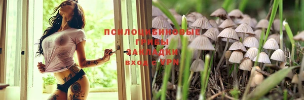 тгк Каменск-Шахтинский