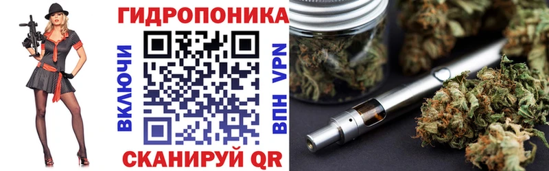 Купить где  Оха  Конопля ГИДРОПОН 